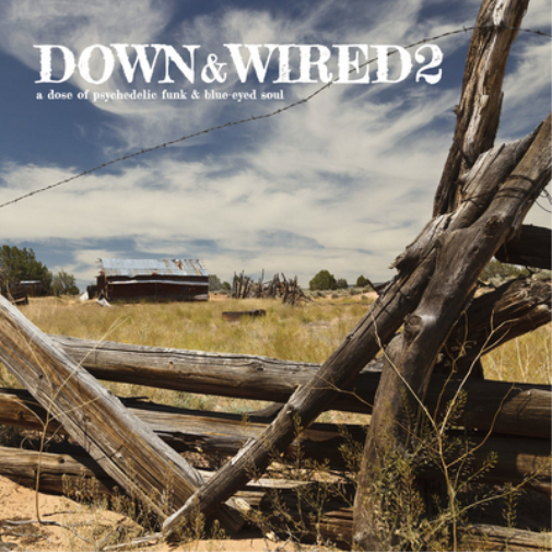 Down & Wired 2