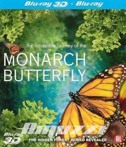 Monarch butterfly (2D+3D)