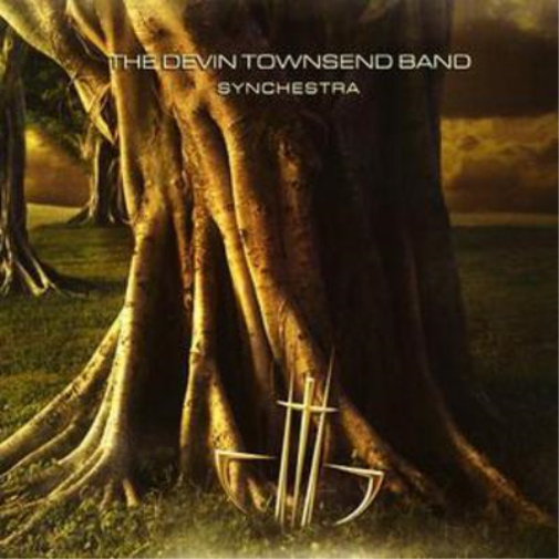 Synchestra