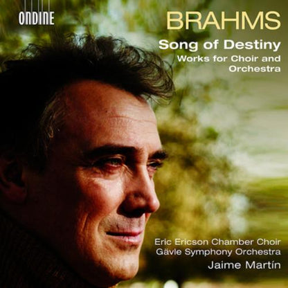 Brahms: Song of Destiny