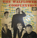 The Walflower Complextion