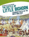 Major Battles in US History: The Battle of Little Bighorn