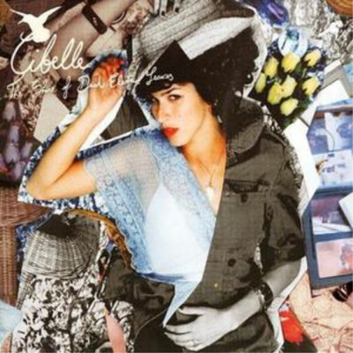 The Shine of Dried Electric Leaves