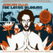 The Lotus Blooms