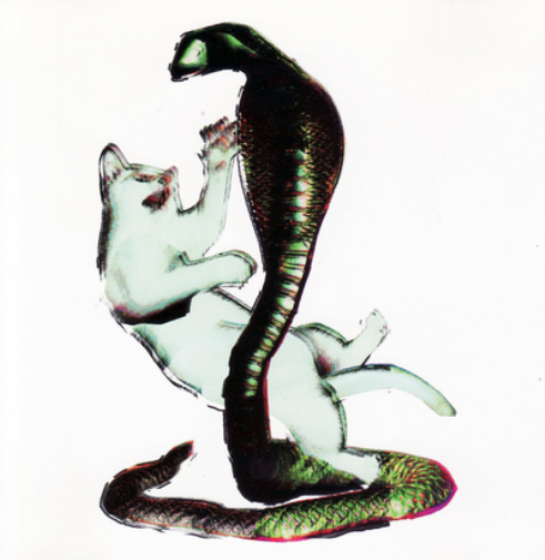 Cat and the Cobra