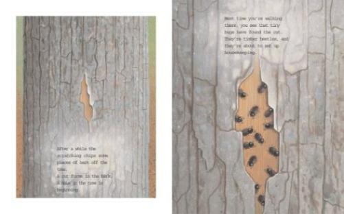 One Small Place in a Tree