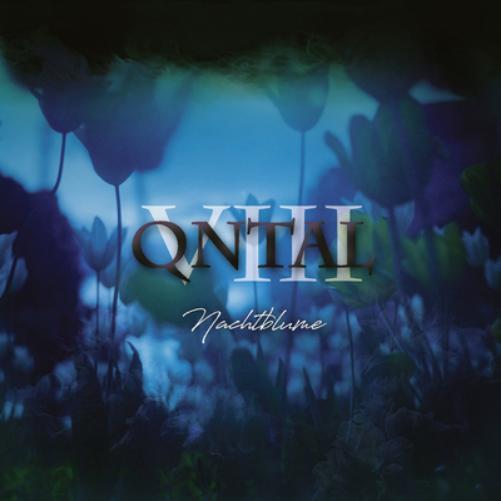VIII: Nachtblume