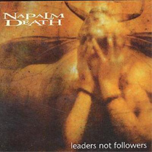 Leaders Not Followers