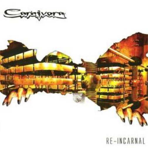 Re-incarnal