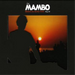 Cafe Mambo Ibiza 2008: Andy Cato