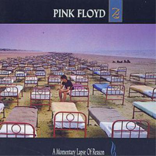 A Momentary Lapse of Reason