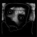 Echo Collective Plays Amnesiac