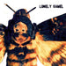 Death's-head Hawkmoth
