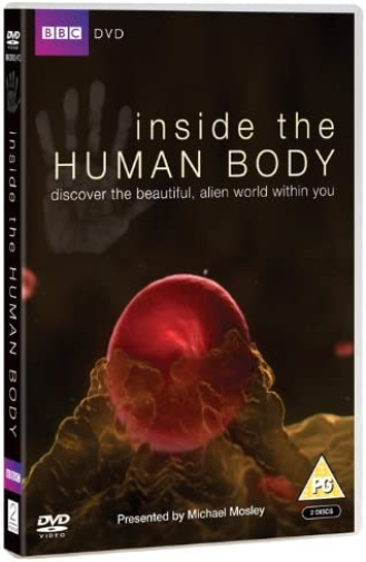 Inside the Human Body