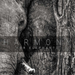 Harmony for Elephants