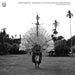 Crying Bamboos: Ceremonial Flute Music from New Guinea Madang