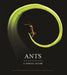 Ants