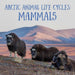 Arctic Animal Life Cycles: Mammals