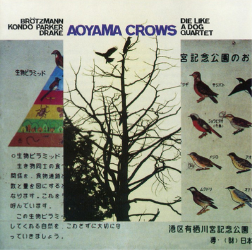 Ayoama Crows