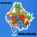 Bullhead