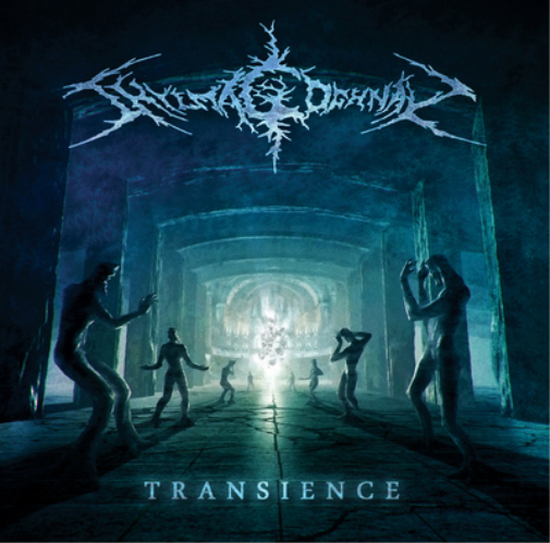 Transience