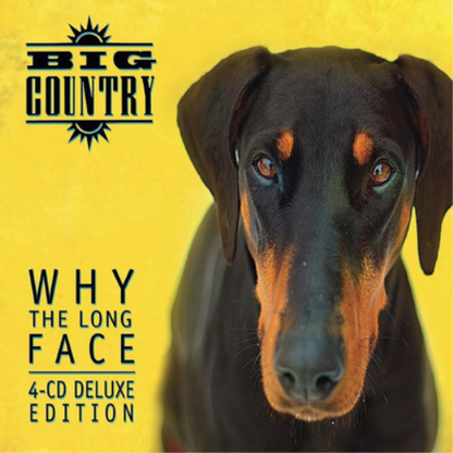 Why the Long Face
