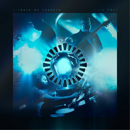 Animals As Leaders Live