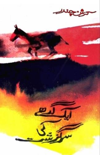 Aik gadhe ki sarguzasht (Editionfirst)