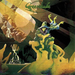 Greenslade: Expanded & Remastered