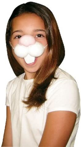 Rubie's 642NS Official Rabbit Nose Costume, Adults, One Size