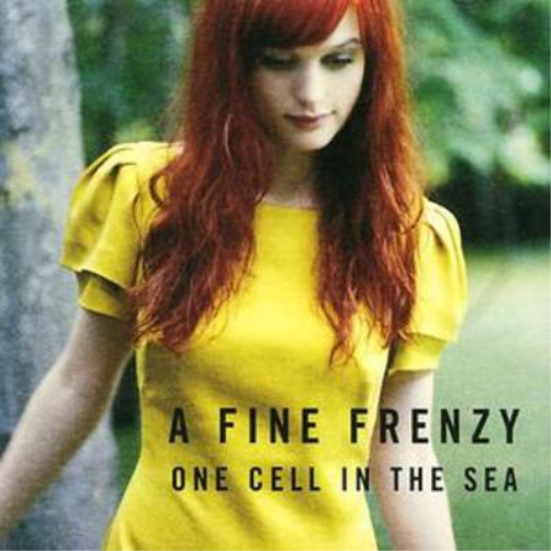 One Cell in the Sea