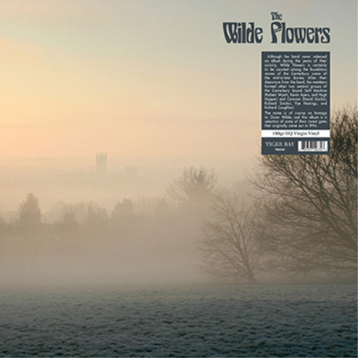 The Wilde Flowers