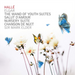 Elgar: The Wand of Youth Suites/Salut D'amour/Nursery Suite/...