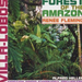 Villa-Lobos: Forest of the Amazon