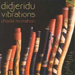 Didgeridu Vibrations