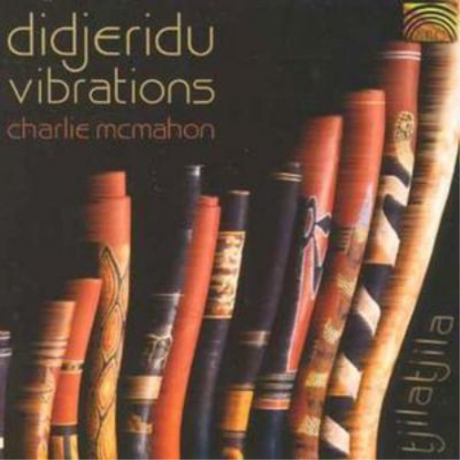 Didgeridu Vibrations