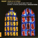 Mass in C Minor K427 (Krivine, La Chambre Philharmonique)