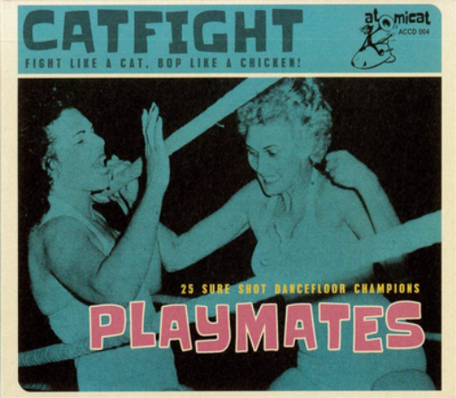 Playmates: 25 Sure Shot Dancefloor Champions