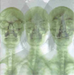 Supergrass