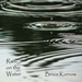 Rain On the Water