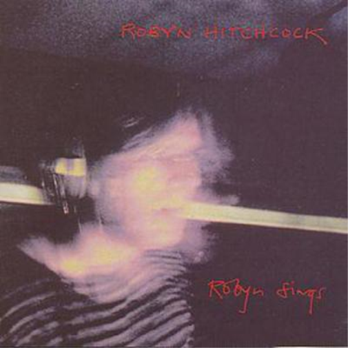 Robyn Stings
