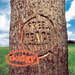 Free Peace Sweet