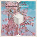 Spring Time EP