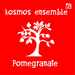 Kosmos Ensemble: Pomegranate