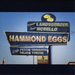 Hammond Eggs