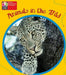 PYP L1 Animals in the Wild single (Pearson Baccalaureate PrimaryYears Programme