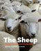 The Sheep
