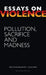 Essays on Violence