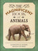 The Magnificent Book of Animals