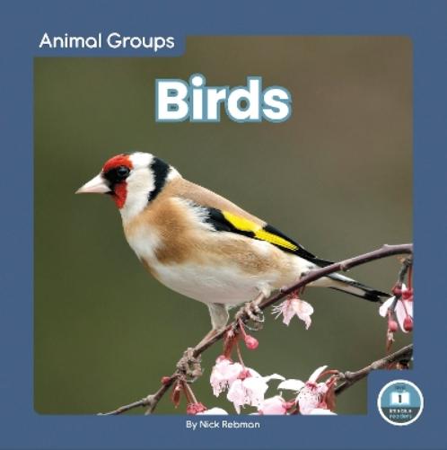 Birds (Animal Groups; Little Blue Readers, Level 1
